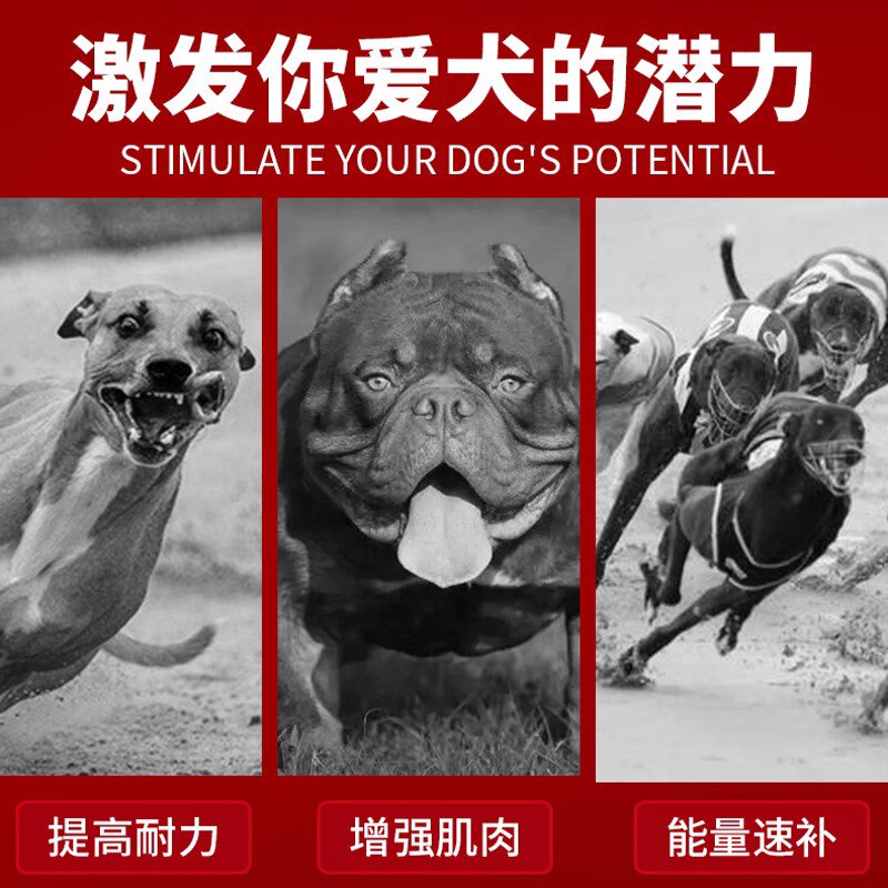 游泳：运动之王的顶级项目提升健康与幸福的秘密武器(图1)