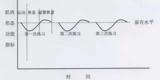 科学增肌的6大法则快速提升肌肉维度(图1)